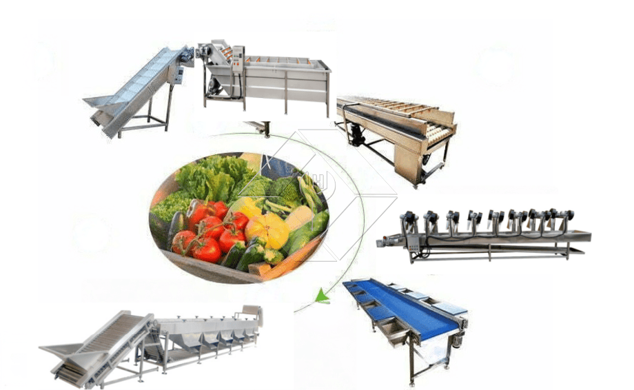 La capacidad de procesamiento de la línea automática de lavado, secado y clasificación de frutas y verduras es generalmente de entre 300 kg/h y 3000 kg/h.