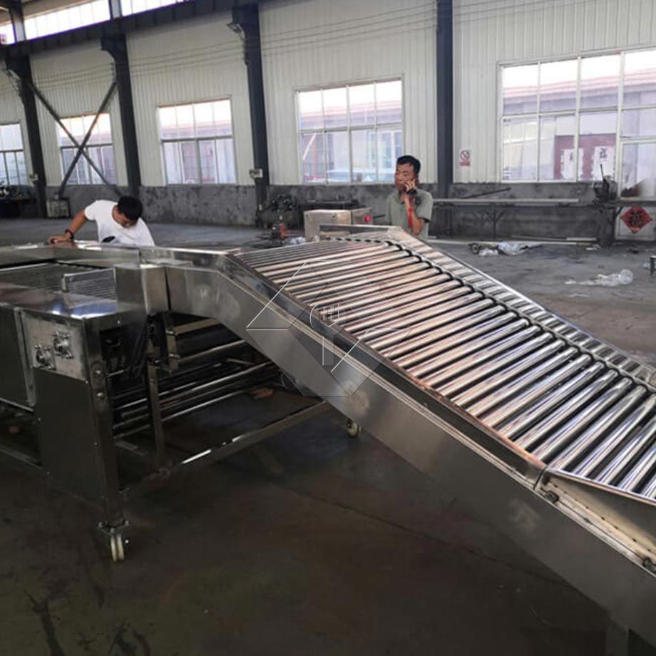 La capacidad de procesamiento de la línea automática de lavado, secado y clasificación de frutas y verduras es generalmente de entre 300 kg/h y 3000 kg/h.