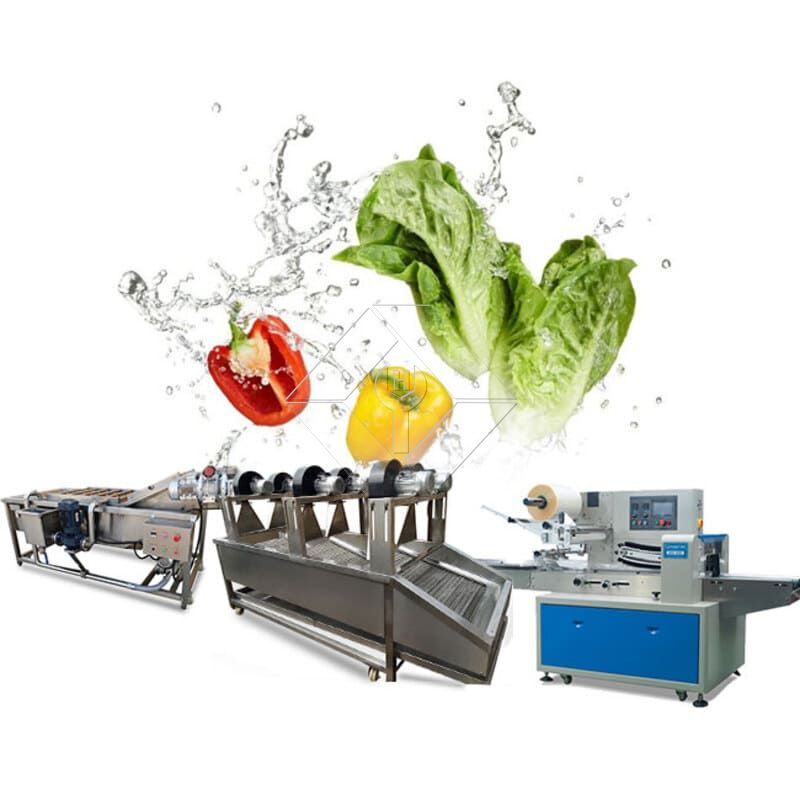 Línea de producción de ensaladas de verduras | Planta procesadora de lechuga