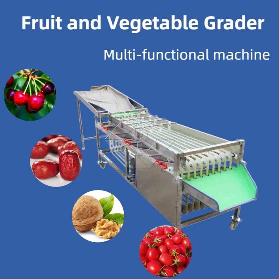 Máquina clasificadora automática comercial, máquina clasificadora de clasificación de frutas, tomate cherry, ajo