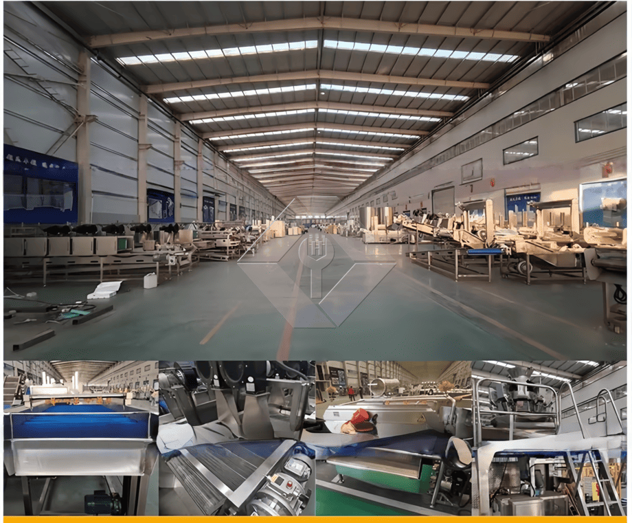 Precio de fábrica 100-1000kg Máquina automática para fabricar papas fritas congeladas Línea de producción para la venta