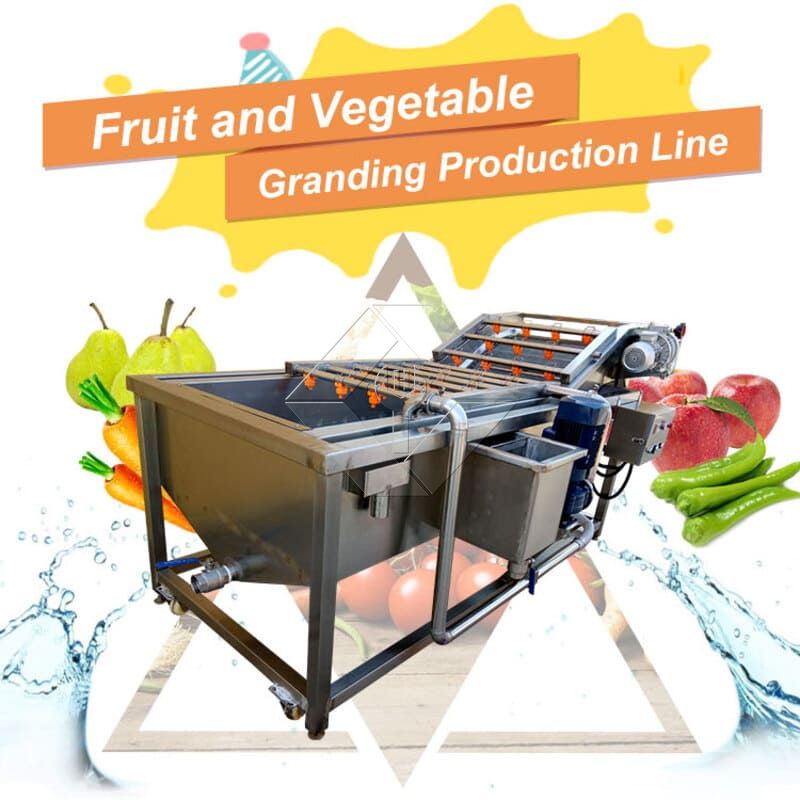Línea de producción de ensaladas de verduras | Planta procesadora de lechuga