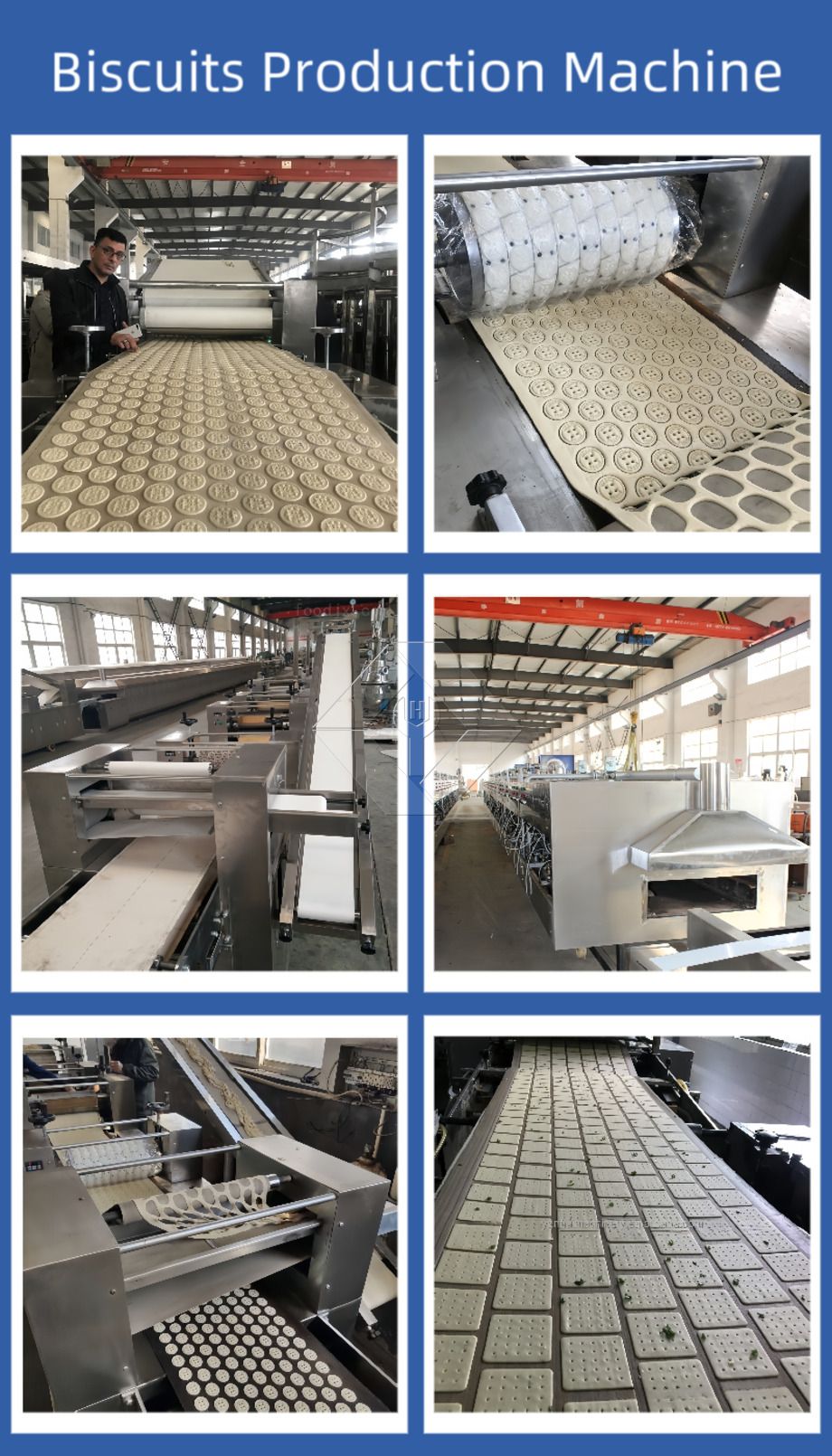 Máquina automática para hacer galletas | Línea de producción de galletas duras y crujientes | Equipos industriales para galletas
