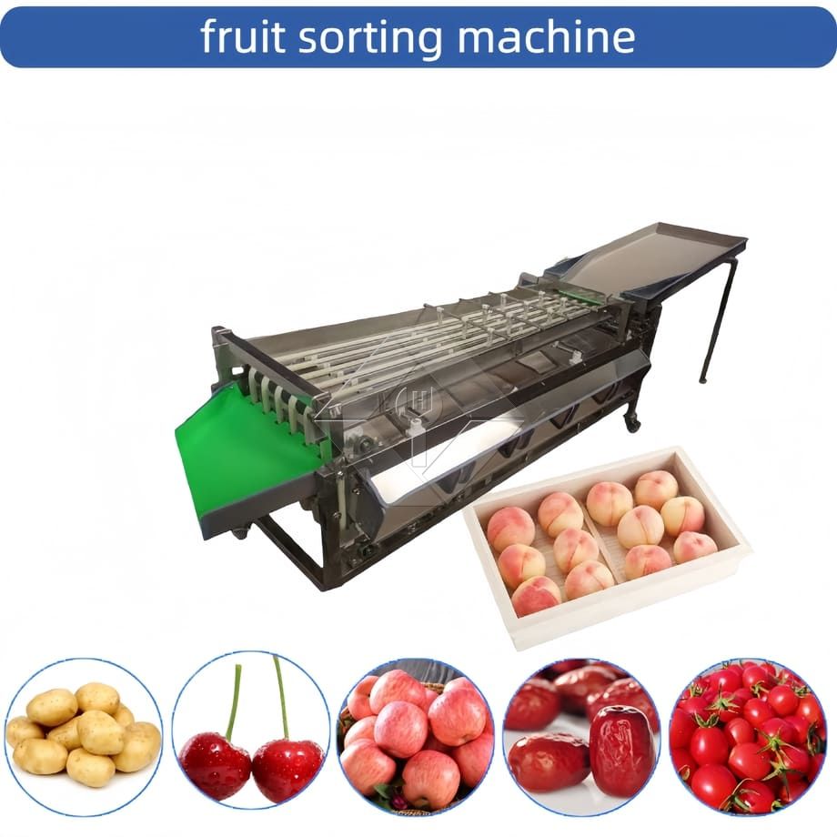 Máquina clasificadora automática comercial, máquina clasificadora de clasificación de frutas, tomate cherry, ajo