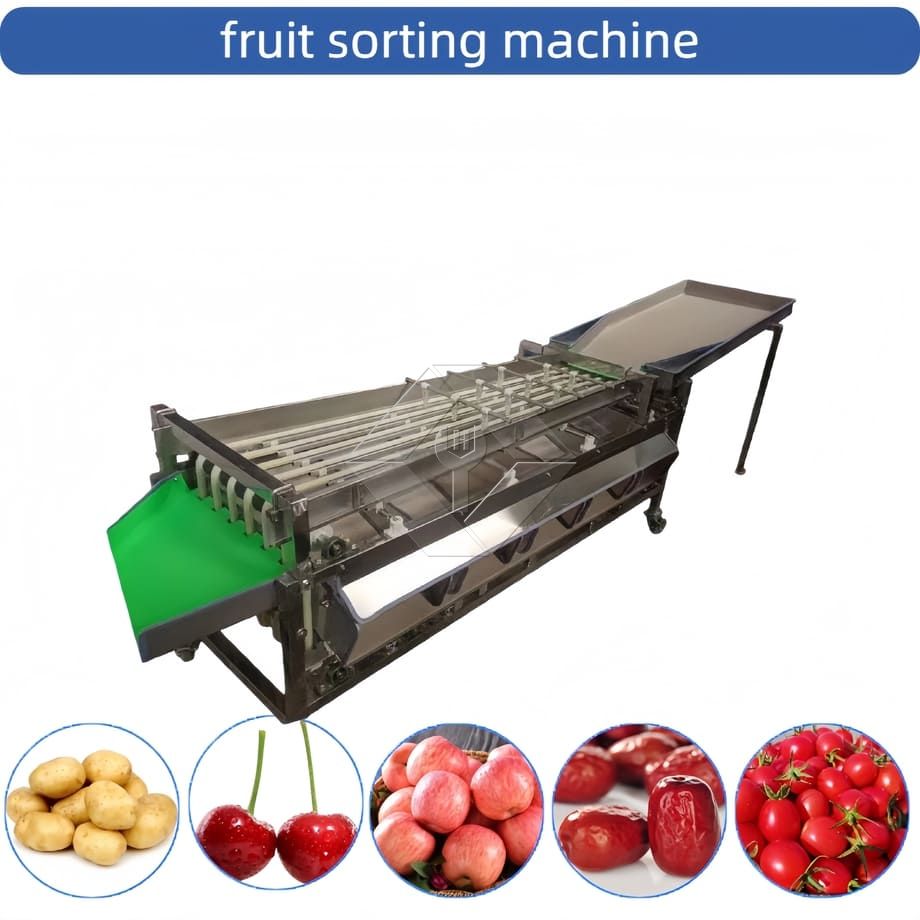 Máquina clasificadora automática comercial, máquina clasificadora de clasificación de frutas, tomate cherry, ajo