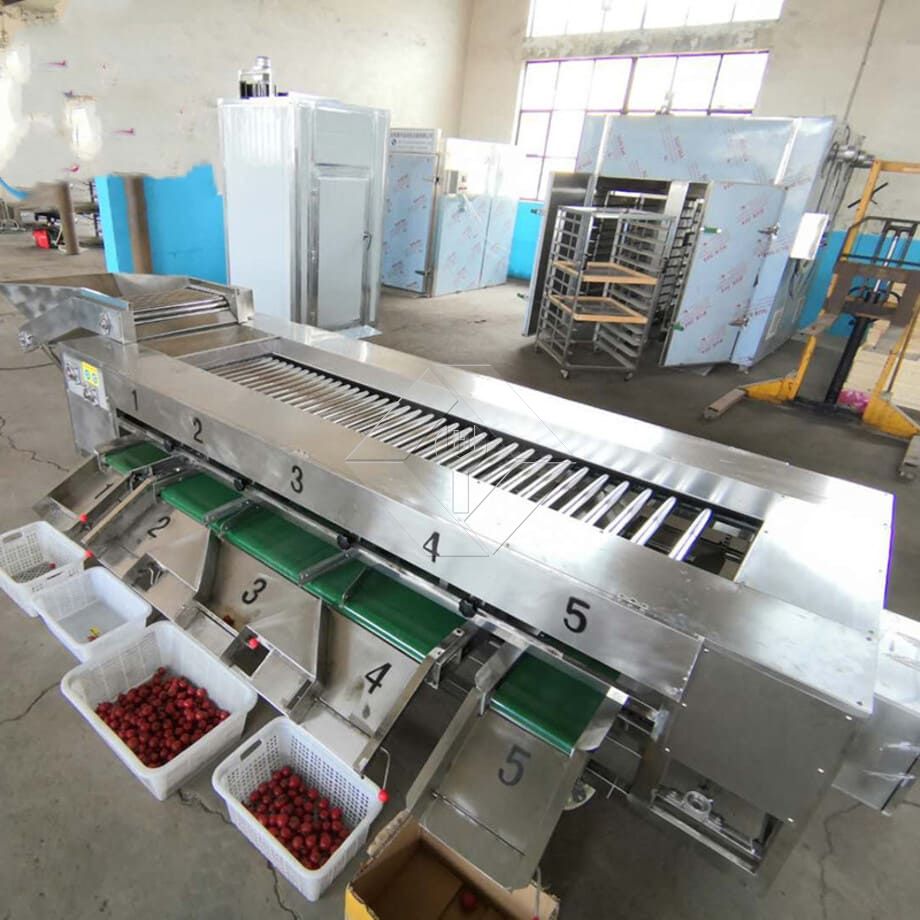 La capacidad de procesamiento de la línea automática de lavado, secado y clasificación de frutas y verduras es generalmente de entre 300 kg/h y 3000 kg/h.