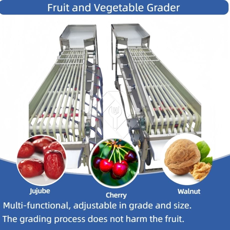 Máquina clasificadora automática comercial, máquina clasificadora de clasificación de frutas, tomate cherry, ajo