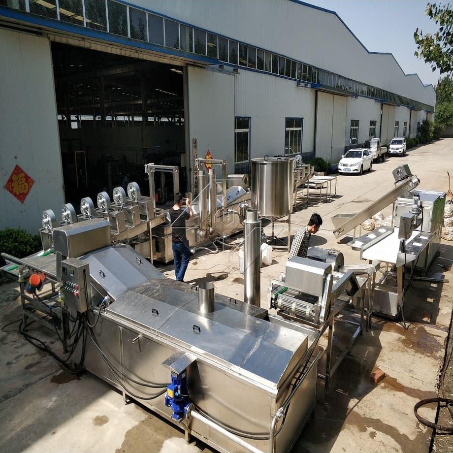 Precio de fábrica 100-1000kg Máquina automática para fabricar papas fritas congeladas Línea de producción para la venta