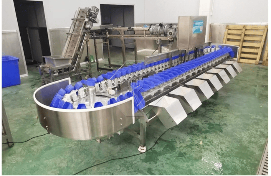 La capacidad de procesamiento de la línea automática de lavado, secado y clasificación de frutas y verduras es generalmente de entre 300 kg/h y 3000 kg/h.