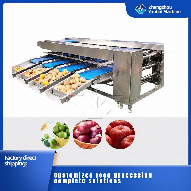 Máquina clasificadora de verduras/frutas