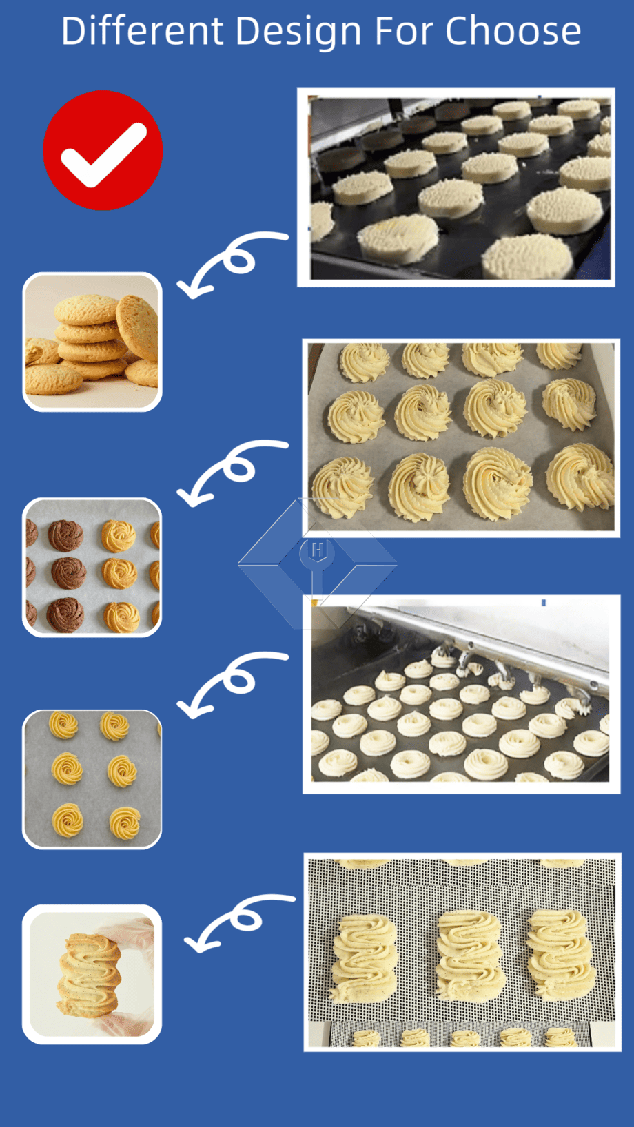 Máquina automática para fabricar galletas con formas y troqueles intercambiables para producción de galletas personalizadas y uso industrial de alto rendimiento Máquina automática para fabricar galletas con formas y troqueles intercambiables para producción de galletas personalizadas y uso industrial de alto rendimiento