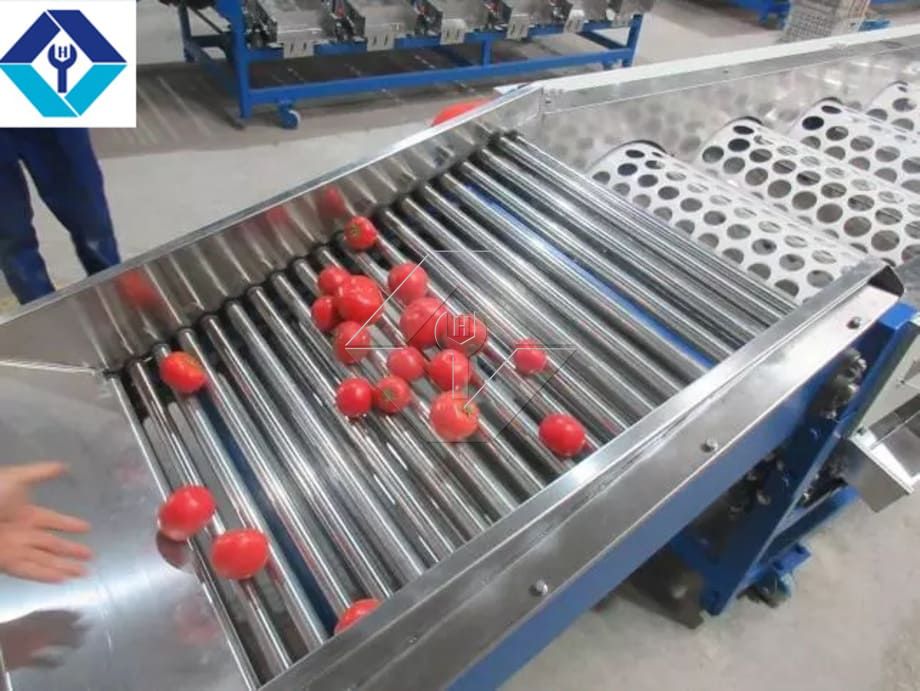 La capacidad de procesamiento de la línea automática de lavado, secado y clasificación de frutas y verduras es generalmente de entre 300 kg/h y 3000 kg/h.