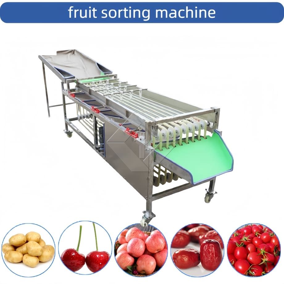 Máquina clasificadora automática comercial, máquina clasificadora de clasificación de frutas, tomate cherry, ajo