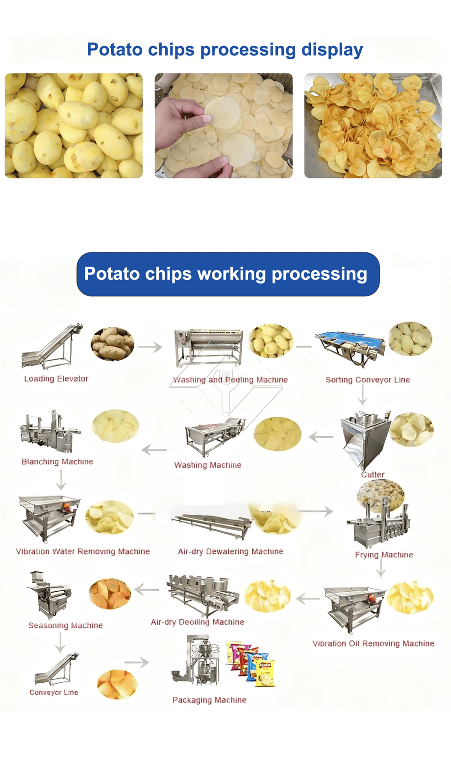 Máquina automática para hacer patatas fritas a gran escala, línea de producción de patatas fritas a precio de Turquía