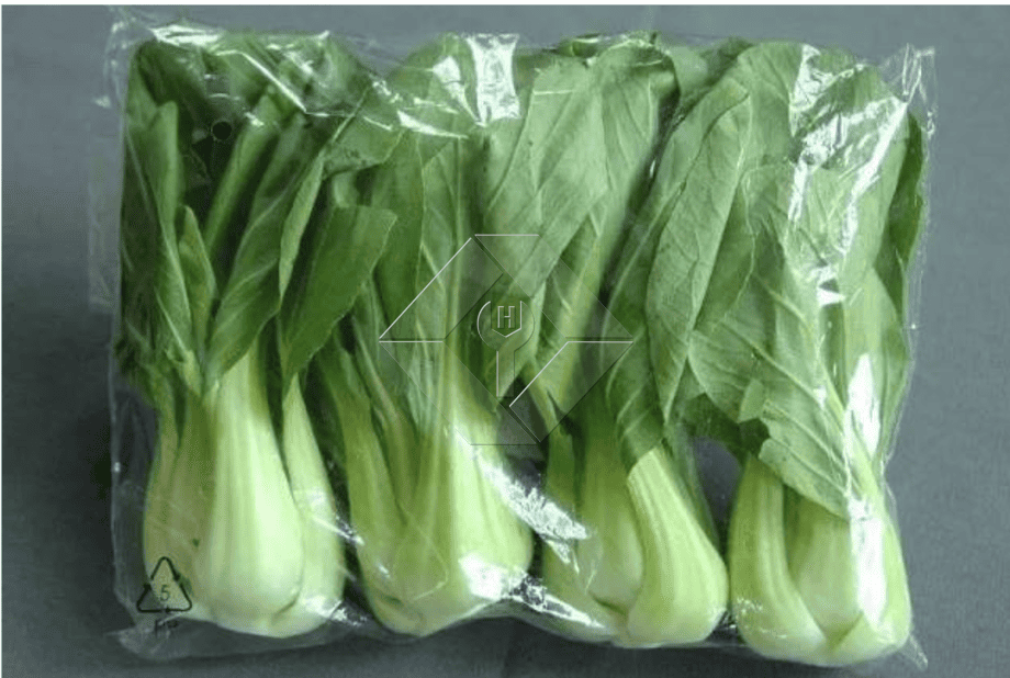 Línea de producción de ensaladas de verduras | Planta procesadora de lechuga