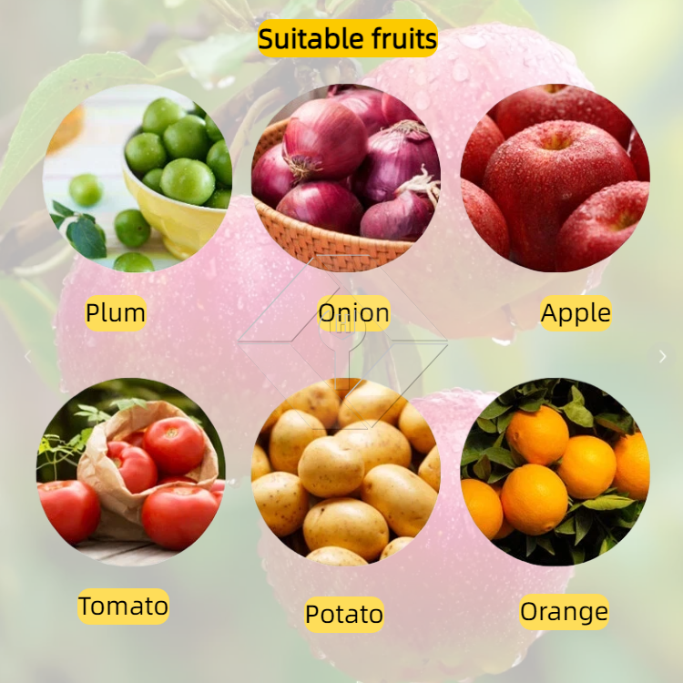 Máquina clasificadora de verduras/frutas