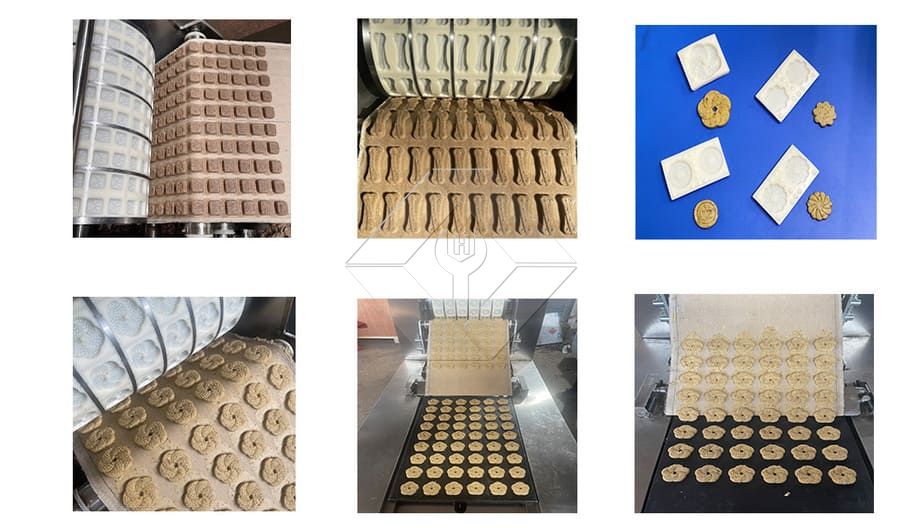 Máquina formadora de rollos de pastel de nueces, galletas crujientes de melocotón, máquina para hacer galletas italianas, máquina formadora de galletas de avena Máquina formadora de rollos de pastel de nueces, galletas crujientes de melocotón, máquina para hacer galletas italianas, máquina formadora de galletas de avena