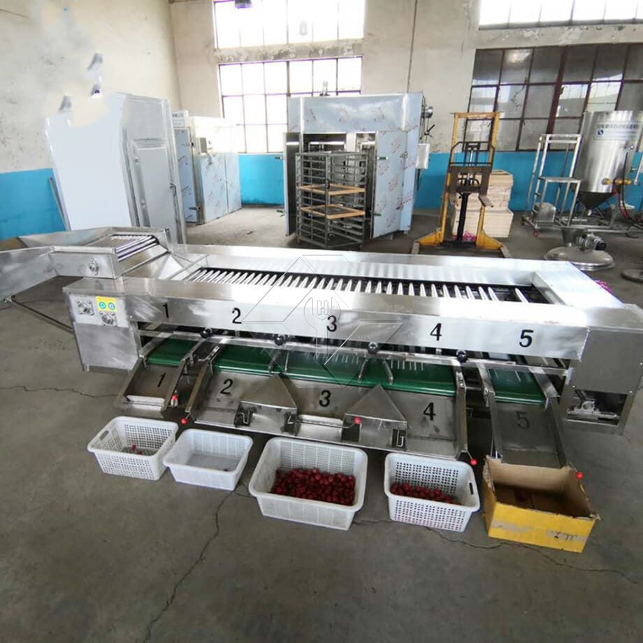 La capacidad de procesamiento de la línea automática de lavado, secado y clasificación de frutas y verduras es generalmente de entre 300 kg/h y 3000 kg/h.