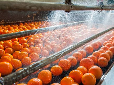 La capacidad de procesamiento de la línea automática de lavado, secado y clasificación de frutas y verduras es generalmente de entre 300 kg/h y 3000 kg/h.