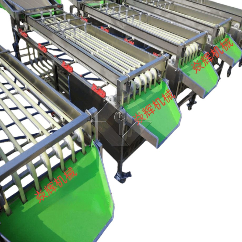 Máquina clasificadora automática comercial, máquina clasificadora de clasificación de frutas, tomate cherry, ajo