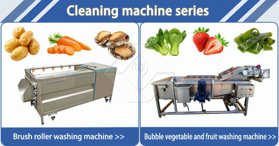 Transportador Lavador de Frutas y Verduras | Lavadora de burbujas para una limpieza eficiente de productos agrícolas