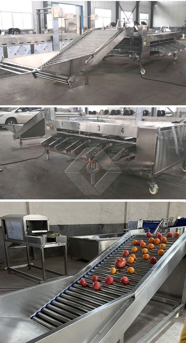 Máquina clasificadora de verduras/frutas