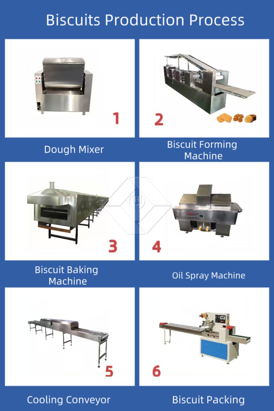 Máquina automática para hacer galletas | Línea de producción de galletas duras y crujientes | Equipos industriales para galletas