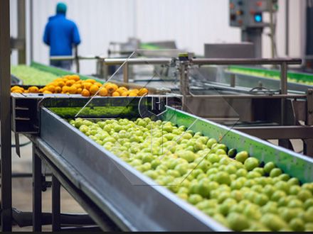 La capacidad de procesamiento de la línea automática de lavado, secado y clasificación de frutas y verduras es generalmente de entre 300 kg/h y 3000 kg/h.