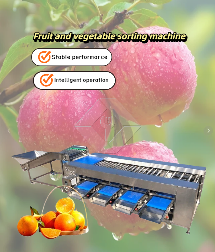 Máquina clasificadora de verduras/frutas