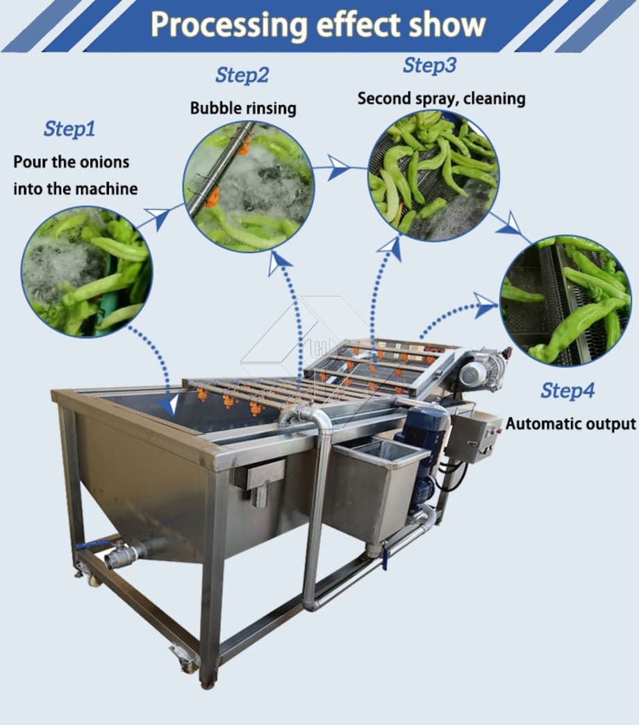 Transportador Lavador de Frutas y Verduras | Lavadora de burbujas para una limpieza eficiente de productos agrícolas