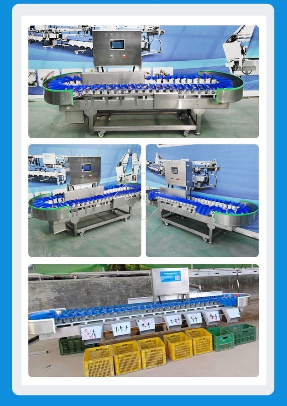 La capacidad de procesamiento de la línea automática de lavado, secado y clasificación de frutas y verduras es generalmente de entre 300 kg/h y 3000 kg/h.