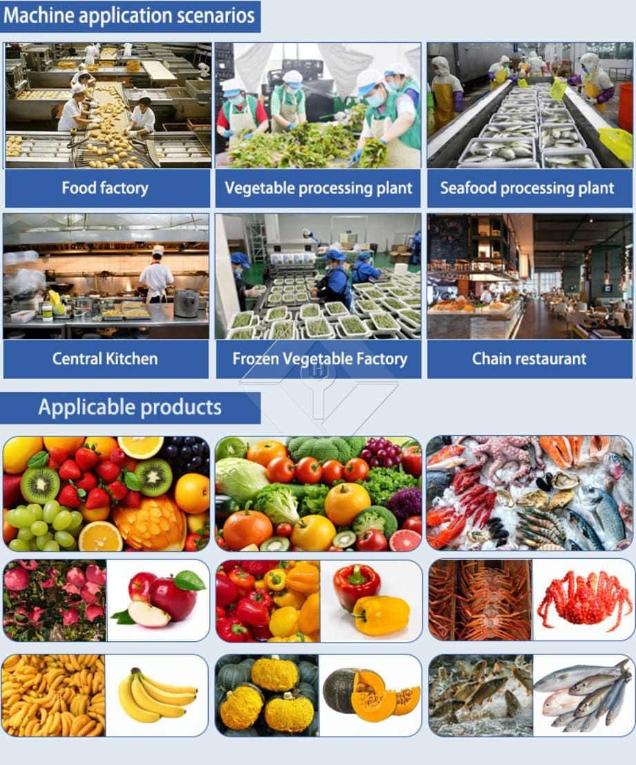 Transportador Lavador de Frutas y Verduras | Lavadora de burbujas para una limpieza eficiente de productos agrícolas