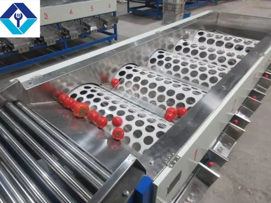 La capacidad de procesamiento de la línea automática de lavado, secado y clasificación de frutas y verduras es generalmente de entre 300 kg/h y 3000 kg/h.